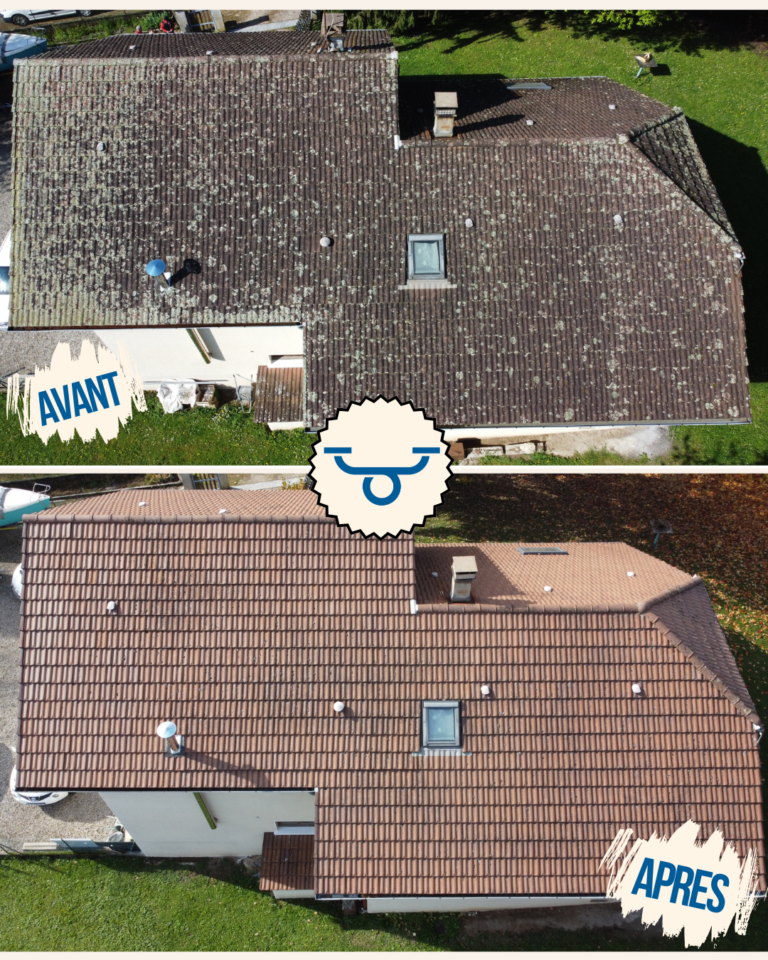 Démoussage de toiture en Savoie